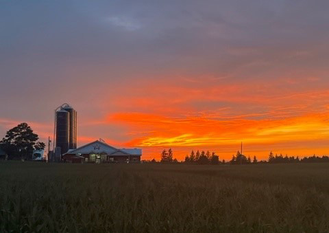 Silhouette d'une ferme sur fond de soleil couchant.