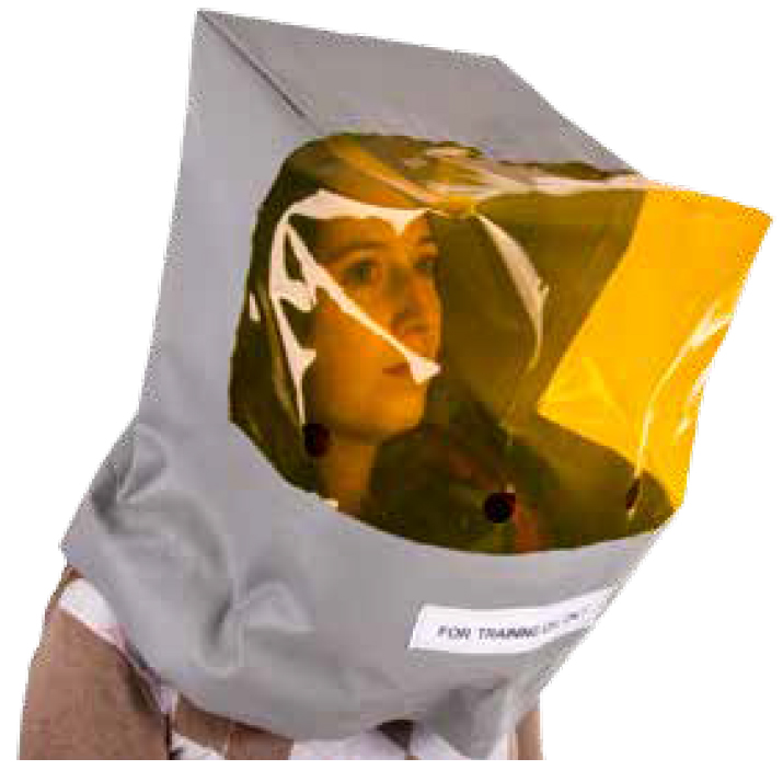 Crew PBE white head cover with yellow face shield, approved Essex style, being worn by a girl